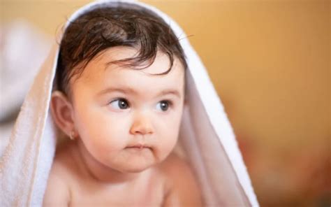 thuc don cho   tuoi   nat day du dinh duong vanhoadoisong