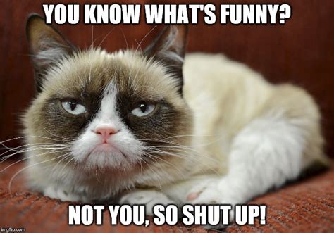 THE GRUMPIEST CAT - Imgflip