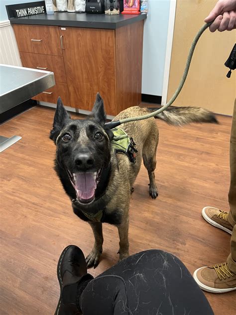 mechanicsville animal hospital 5