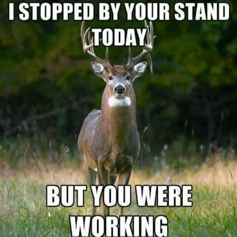 The 20 Best Deer Hunting Memes (So Far) - SayingImages.com