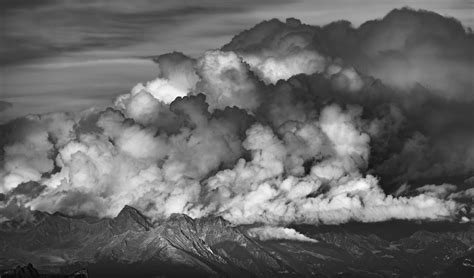 Big Black Cock Photos, Download The BEST Free Big Black Cock Stock