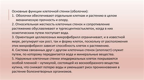 Клеточная стенка грибов - презентация онлайн