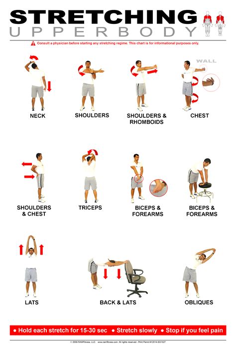Upper Body Stretching Poster 24" x 36"