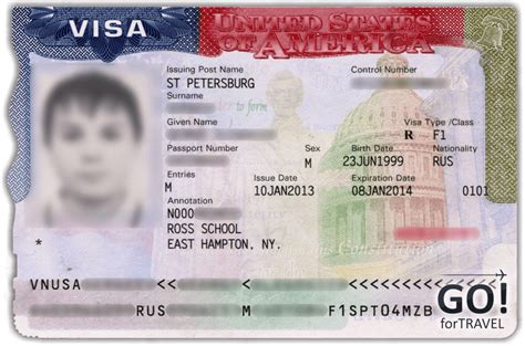 На сколько дают визу в США: сроки действия различных виз