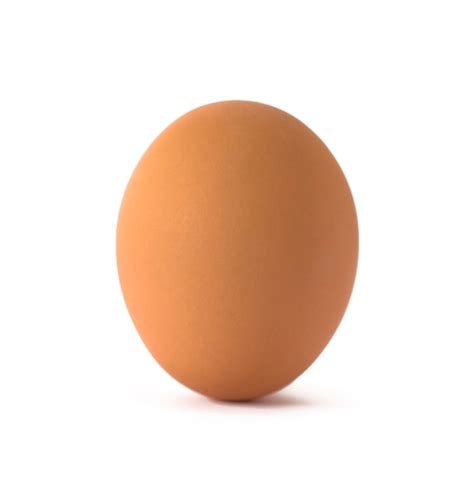 premium photo  egg