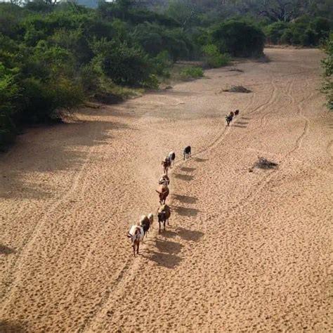 list   types  streams facts pics pond informer