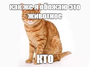 Meme: "как же я обожаю это животное КТО" - All Templates - Meme-arsenal.com
