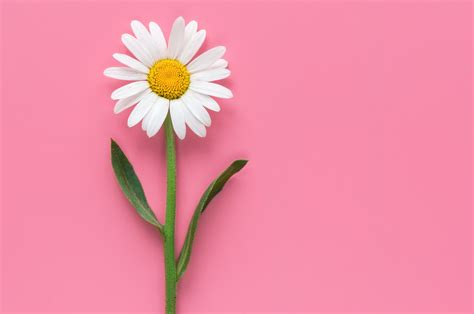 Exhibitionism: What It is And How To Try It Safely | O.school