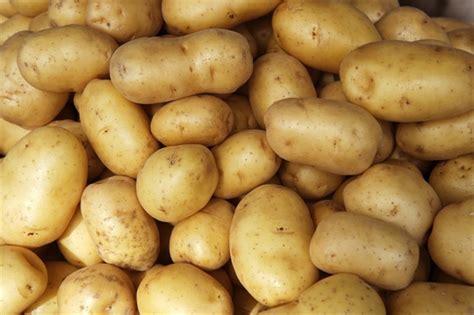 Красноярским погорельцам раздали картошку для посадки