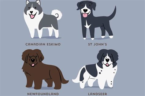These Illustrations Show The Origins Of Dog Breeds In The Cutest Way ...