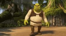 Transformation Tuesday GIF - Shrek Fiona Tranformation - Discover ...