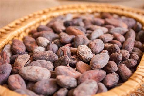 Какао бобы - Premium Dried Fruits