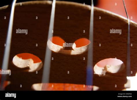 violin strings close  stock photo alamy