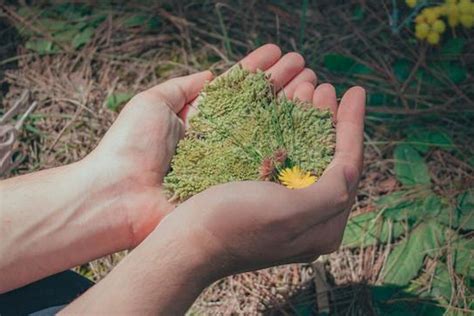berita jenis jenis lingkungan terbaru hari  kids