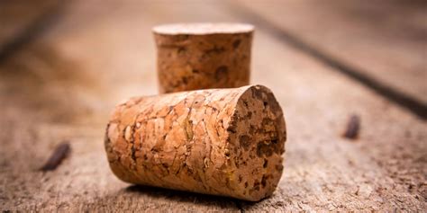 facts  cork material  alana toomey blog