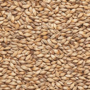 Солод Cara Ruby Malt ~ 50 EBC Castle Malting 1 кг от производителя в ...