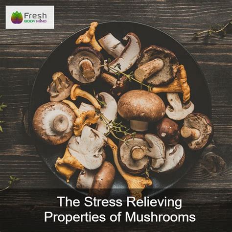 The Stress Relieving Properties of Mushrooms | Fresh Body Mind