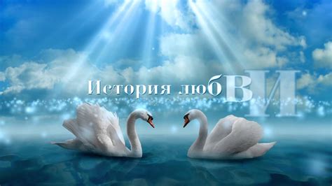 Любовь футаж - YouTube