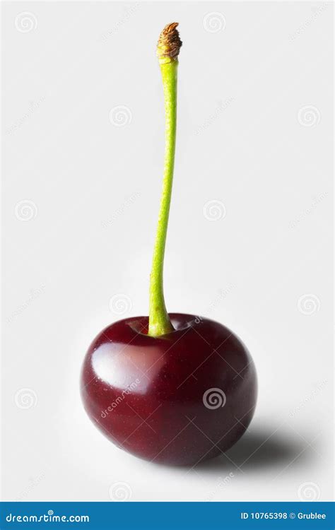 cherry xxl  extra large stock photo image  natural dessert