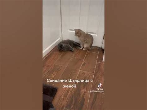 Свидание Штирлица с женой - YouTube