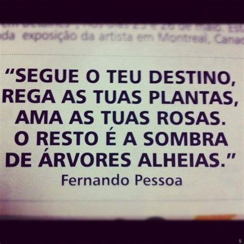 Segue O Teu Destino Rega Tuas Plantas - Segue o teu destino, rega as tuas plantas, ama as tuas rosas. O resto é ...