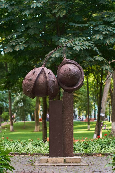 Каштани, Маріїнський парк
