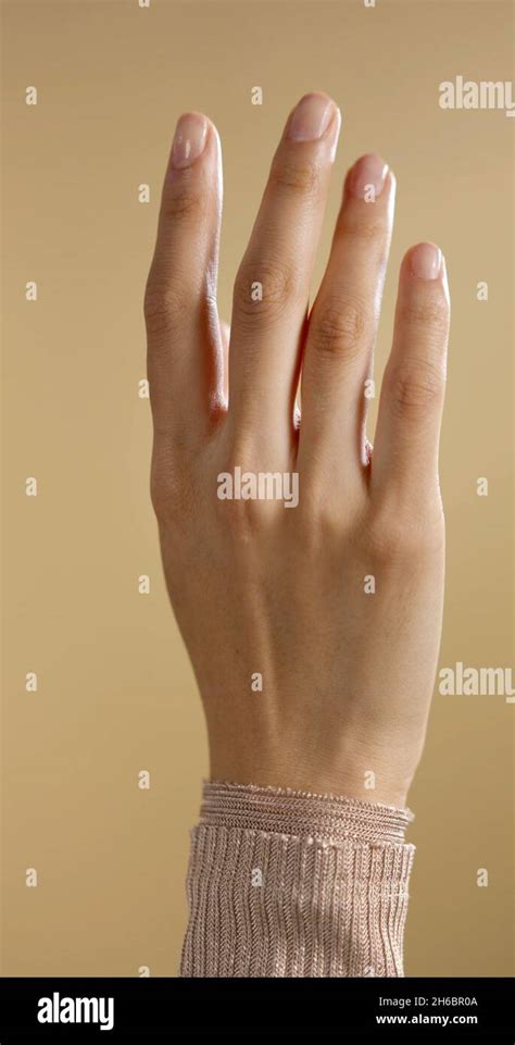 vertical photo   hand   woman stock photo alamy
