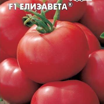 Томат Елизавета F1 «Седек» в Перми – купить семена