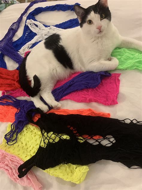 Ember Reigns on Twitter: "He can’t pick a color. Can you? Msg me to