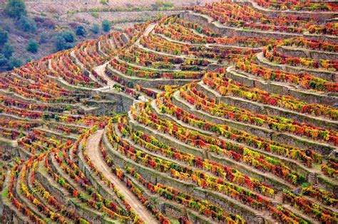 Top-Aktivitäten im Herbst - Porto und Nordportugal - The Getaway Van