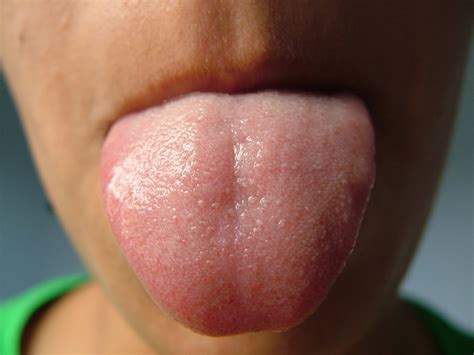 Tongue Free Photo Download | FreeImages