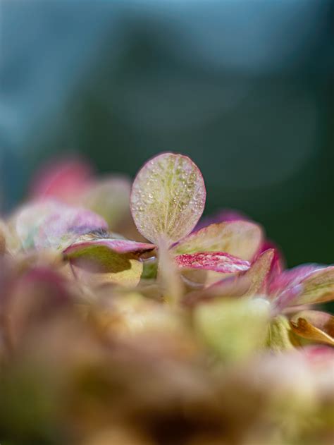 small  beautiful behance