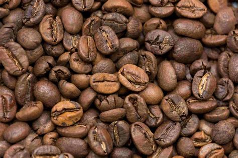 Индия Муссонный Малабар - купить свежий кофе в Москве | Coffee Planet