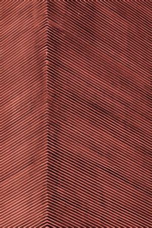 putz fassade aussenputz fassade