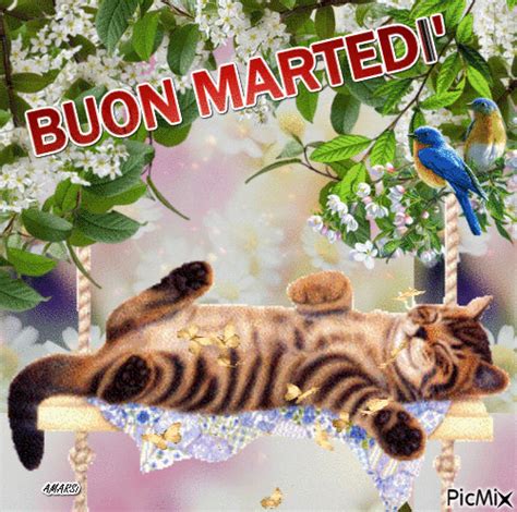 BUON MARTEDI' - GIF animé gratuit - PicMix