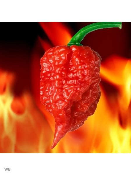 Плодовые разные EKZO.TERRA Перец Острейший "Carolina Reaper" 3 шт._7 ...