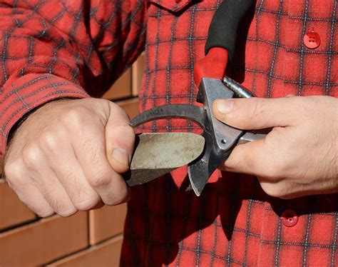 how to clean pruning shears