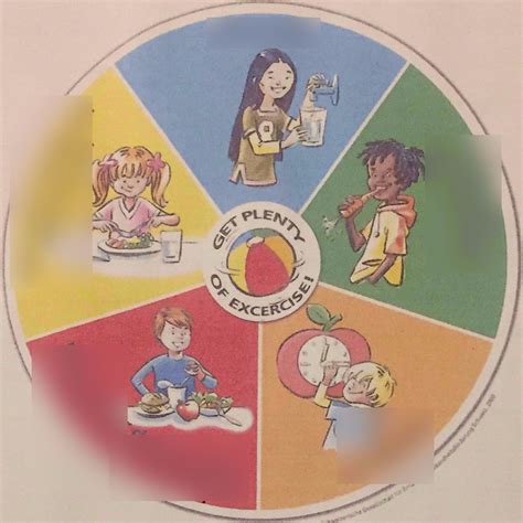 science nutrition diagram quizlet