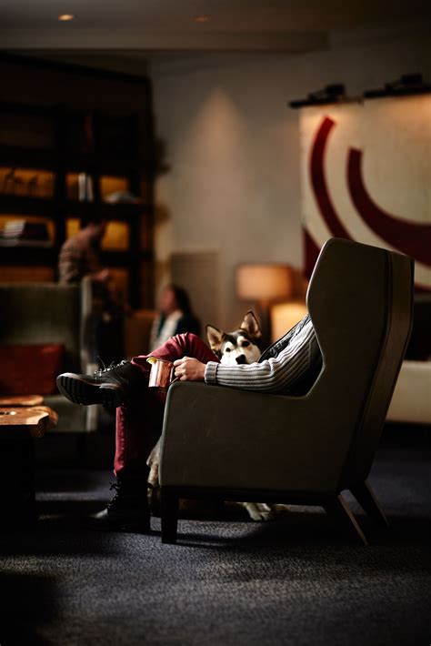 Luxury Pet-Friendly Accommodation Around the World Photos