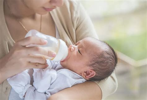 Top-Rated Baby Bottles for Happy Feedings - Hunter Games Magazine
