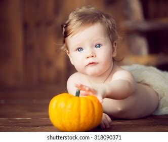 Baby Pumpkin Stock Photo 318090371 | Shutterstock