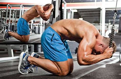 Plano de Treino Frank Zane: O Físico Ideal