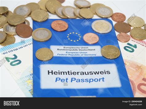 Costs Pet Veterinarian Image & Photo (Free Trial) | Bigstock