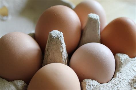 Alimentation : pourquoi l'œuf est un véritable trésor nutritionnel