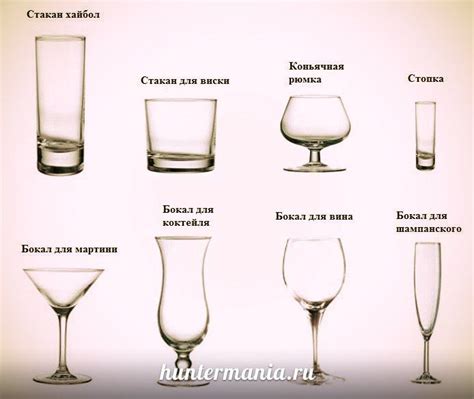 Liquor Glasses and Wine Glass Types