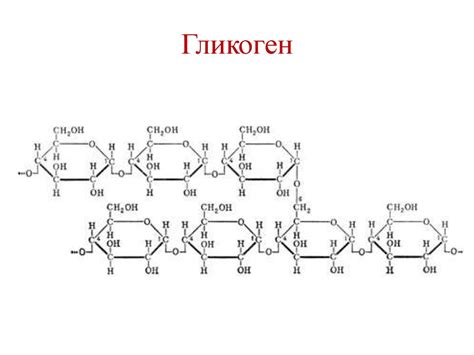Обмен углеводов - презентация онлайн