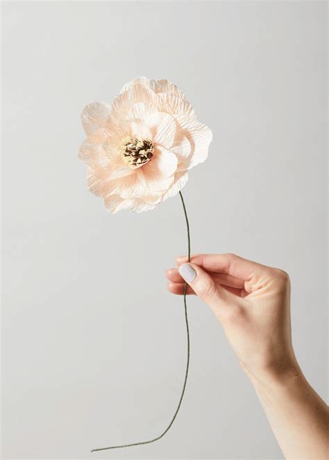 Studio About - Paper Flower, Poppy - Paper Flowers - Nude