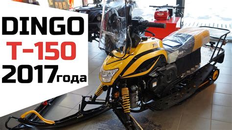 Обзор обновленного снегохода IRBIS DINGO T-150 2017 года. - YouTube