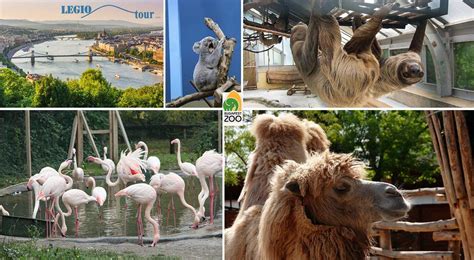 ZOO Budapešť a prehliadka mesta | ZaMenej.sk
