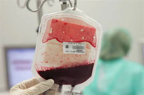 Медицина будущего: исследователи близки к успеху в создании ...